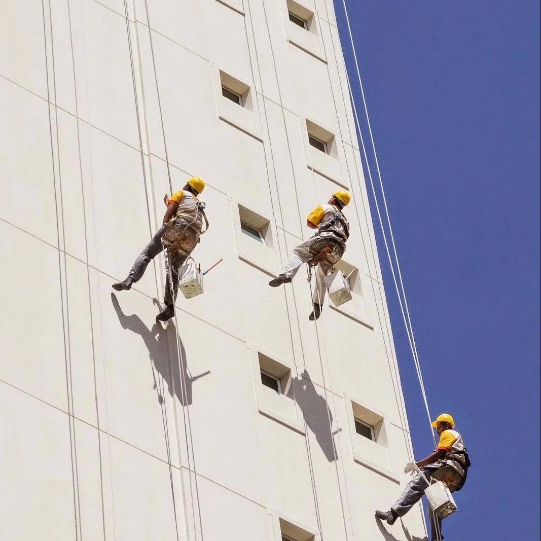 Pinturas Predias